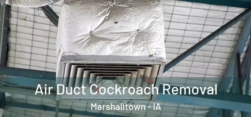 Air Duct Cockroach Removal Marshalltown - IA