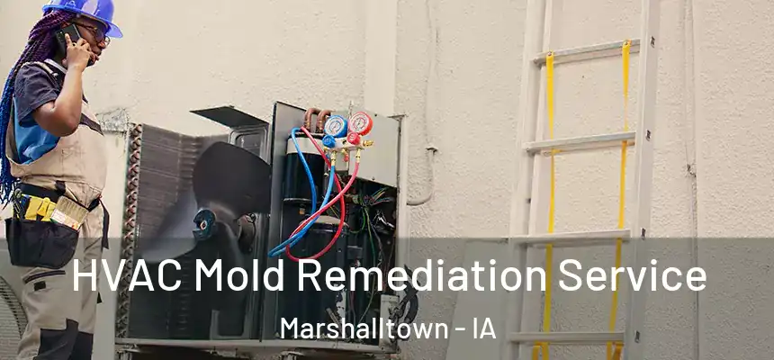 HVAC Mold Remediation Service Marshalltown - IA