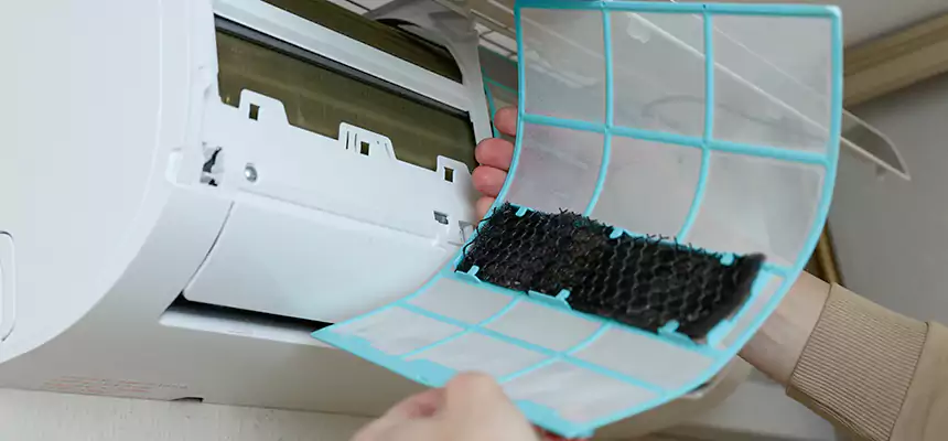 Gentle Ductwork Odor-Control Pet Dander Duct Cleaning in Marshalltown, IA