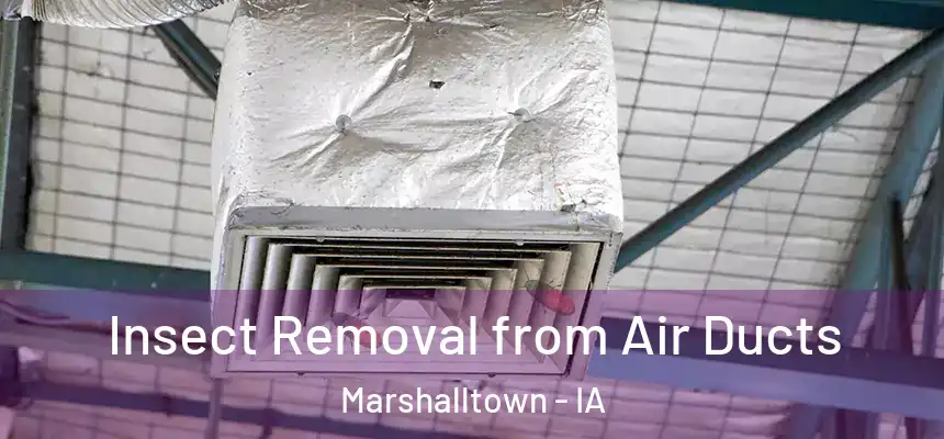 Insect Removal from Air Ducts Marshalltown - IA