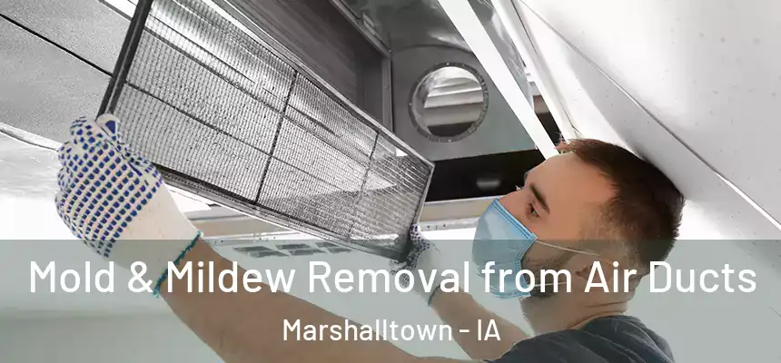 Mold & Mildew Removal from Air Ducts Marshalltown - IA