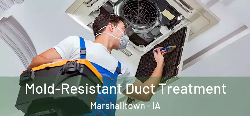 Mold-Resistant Duct Treatment Marshalltown - IA