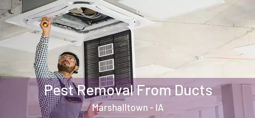 Pest Removal From Ducts Marshalltown - IA