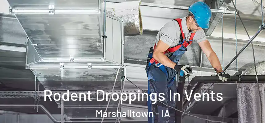  Rodent Droppings In Vents Marshalltown - IA