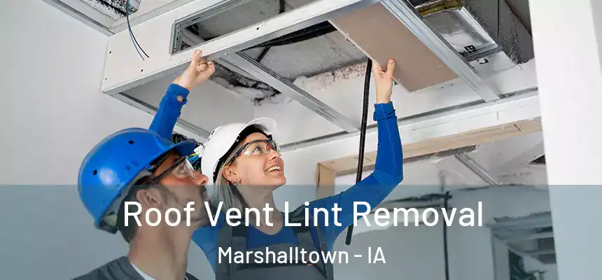 Roof Vent Lint Removal Marshalltown - IA