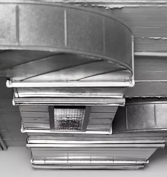 Professional Air Duct Pet Hair Removal in Marshalltown, IA