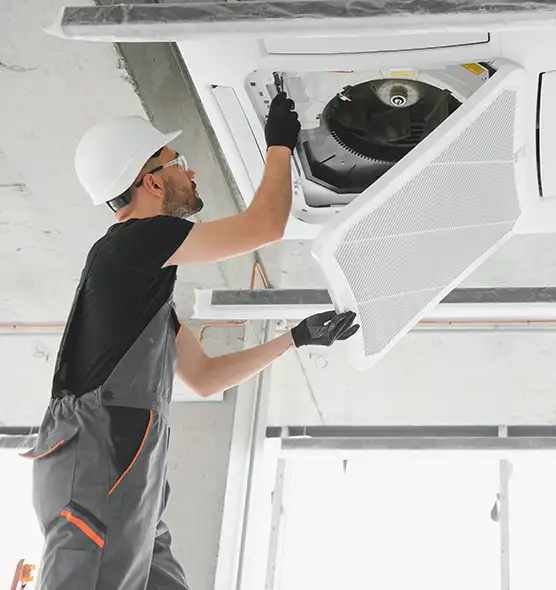 About Air Duct Rodent Removal in Marshalltown, IA