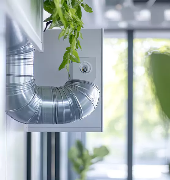 Professional Eco-Friendly Duct Cleaning Services in Marshalltown, IA