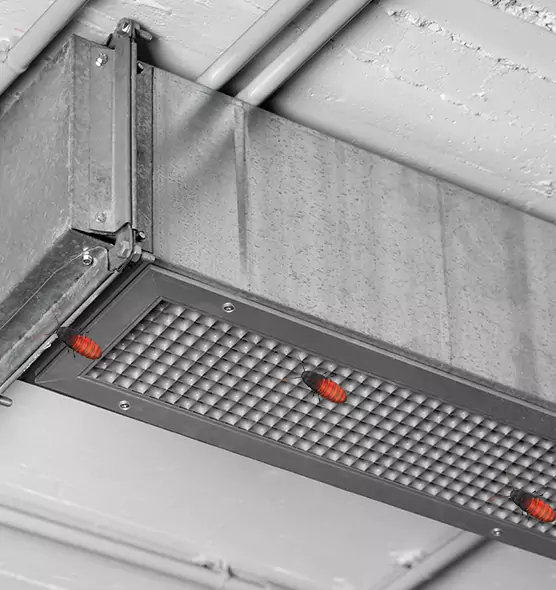 Affordable Insect Removal from Air Ducts in Marshalltown, IA