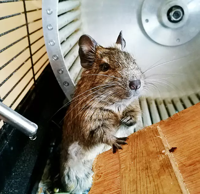 Why Homeowners & Businesses Trust Us Marshalltown, IA