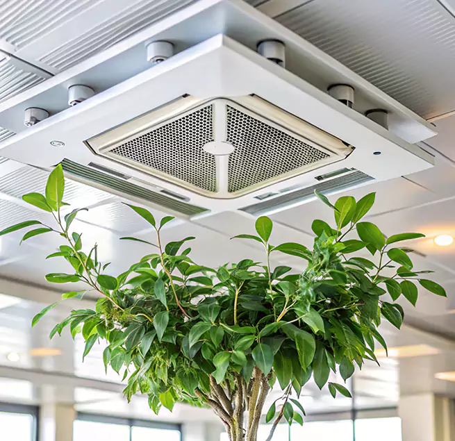 Why Homeowners & Businesses Trust Us in Marshalltown, IA